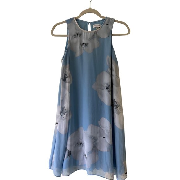 Calvin Klein Womens Sheer Floral Sleeveless Mini Dress Size 6P Blue & White - Picture 2 of 10
